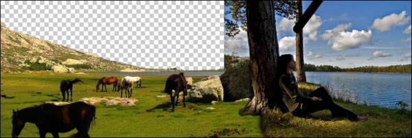 Creation of wild horses: Step 2